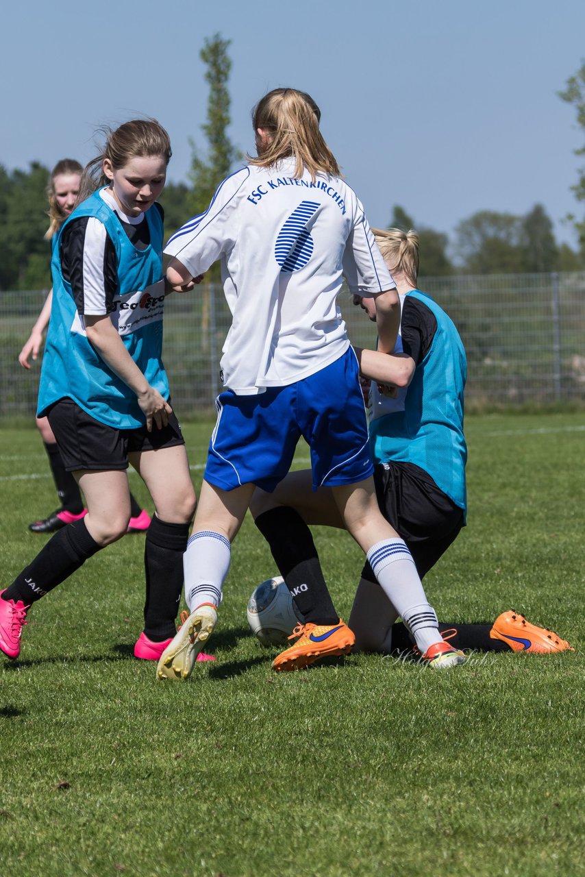 Bild 420 - wBJ FSC Kaltenkirchen - TSV Bordesholm : Ergebnis: 2:2